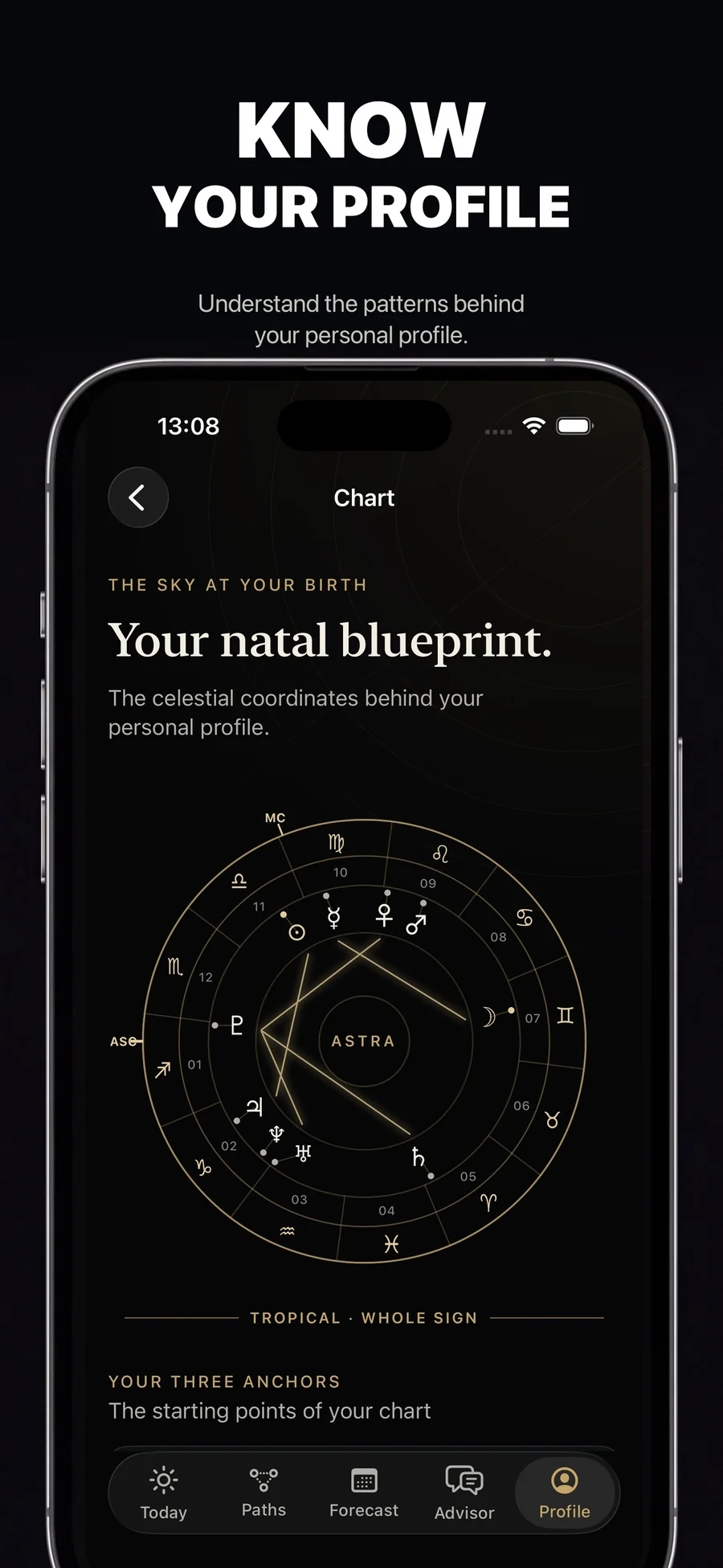 Astra natal chart based on the user’s birth information